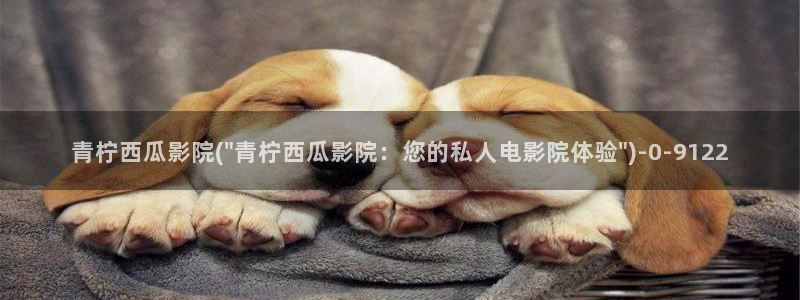 西瓜影院免费播放电视剧大全