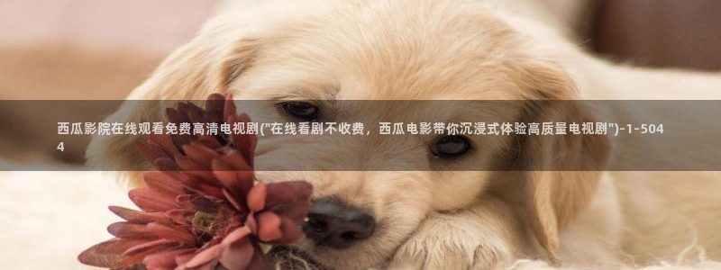 理论片西瓜影院电影