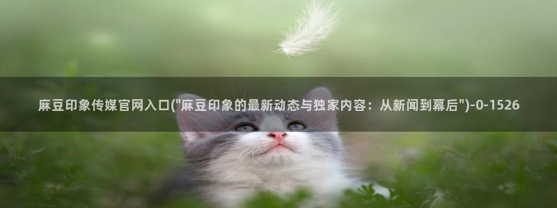 麻麻豆传媒官网：麻豆印象传媒官网入口(\