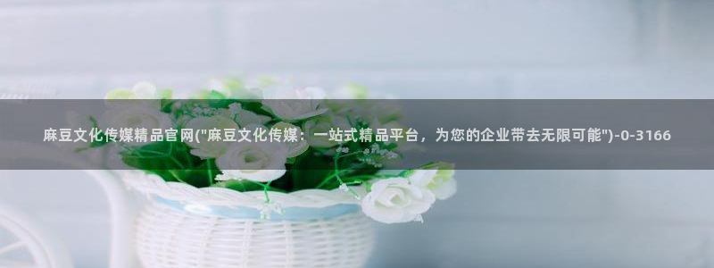 麻豆 传媒官网进入：麻豆文化传媒精品官网(\