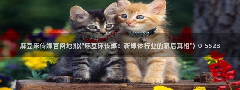 麻豆果冻传媒官网：麻豆床传媒官网地批(\