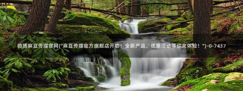 网页搜索 麻豆传媒官网