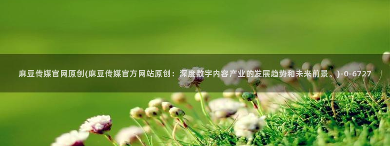 麻豆传媒官网樱桃