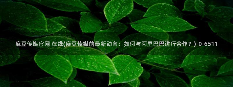mdpun麻豆传媒官网