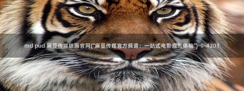 mdpud麻豆传媒官网pub