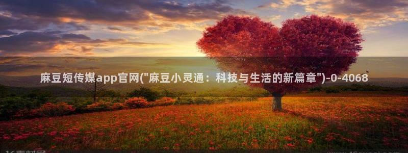 麻豆传媒app官网