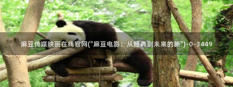 麻豆映视传媒官网