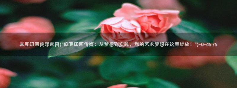 麻豆传媒官网链接