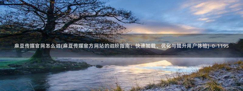 麻豆国产传媒官网：麻豆传媒官网怎么进(麻豆传媒官方网站的进阶指南：快速加载、优化与提升用户体验)