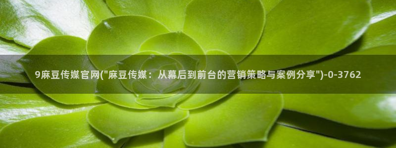 麻豆传媒直播官网一：9麻豆传媒官网(\