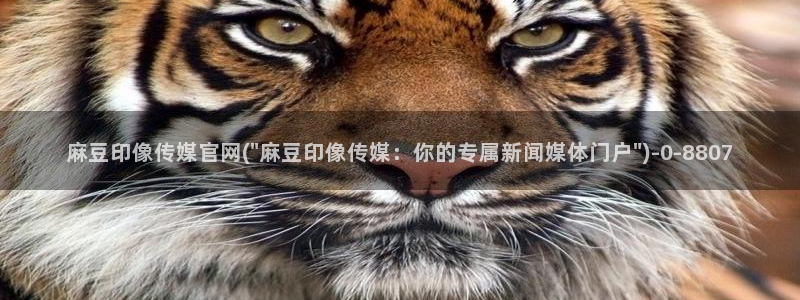 麻豆传媒公司官网：麻豆印像传媒官网(\