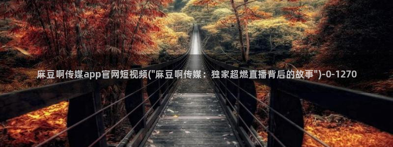 麻豆传媒官网破解