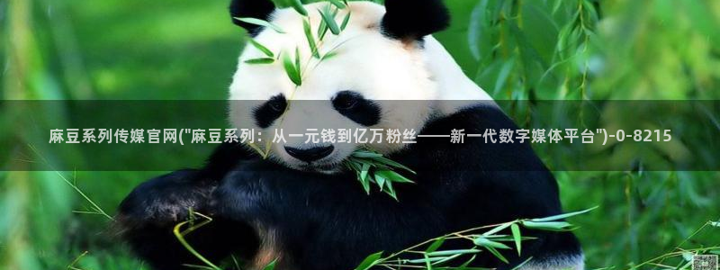 麻豆传媒官网论坛