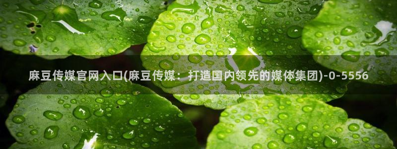 麻豆传媒自制官网