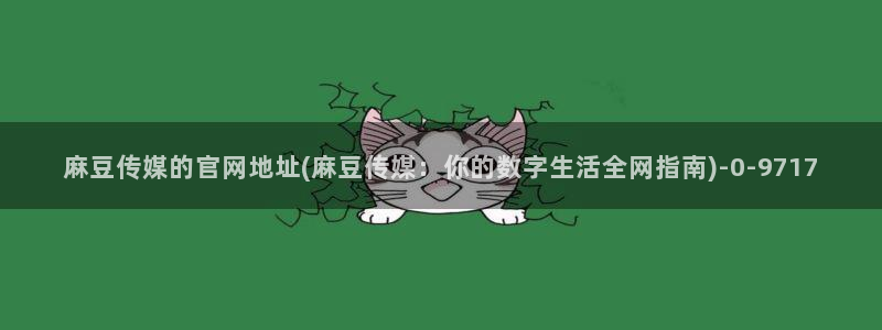 麻豆传媒台湾官网